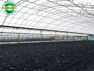Shandong Huayuan Humic Acid Ecological Agricultural Science and Technology Co., Ltd.