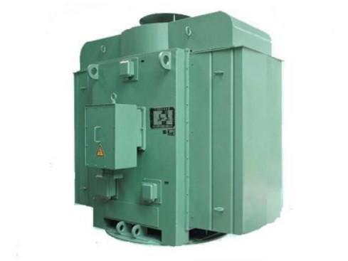 60Hz V1 Mounting Electric Motor 10000V Motor High Votage IP54