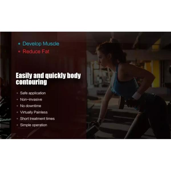 Machine électromagnétique magnétique de chargement initial du laser 220v de grosse perte