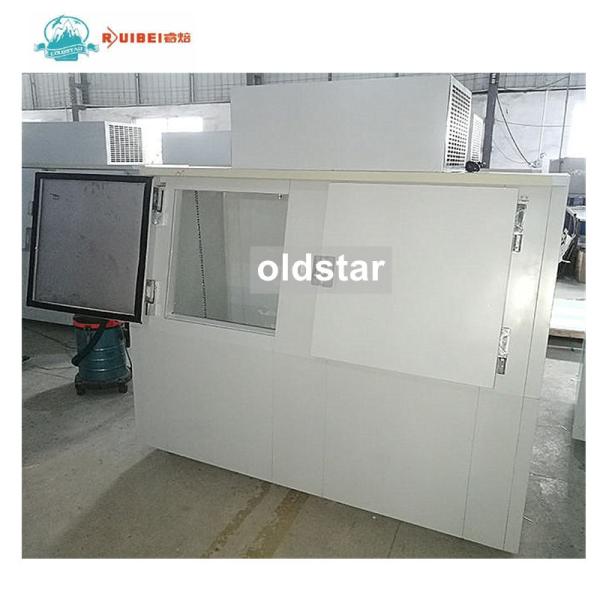 Outdoor Ice Merchandiser, Commercial Double Door Ice Storage Freezer Large Storage Containers