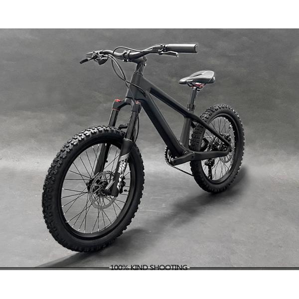 велосипед скорости Шимано 10 тарельчатого тормоза горного велосипеда детей 20ер для детей