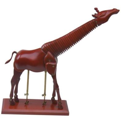 Tipo de madeira inteiramente manequim do girafa do manequim do artista do uso da educação de Poseable