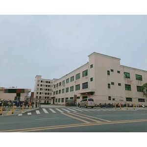 Shenzhen Vigorrain Technology Co., Ltd.