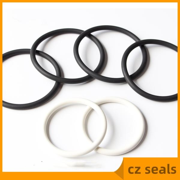 High Temperature FKM Acid Corrosion Resistant O Ring Fluorine Sealing Element Seawater