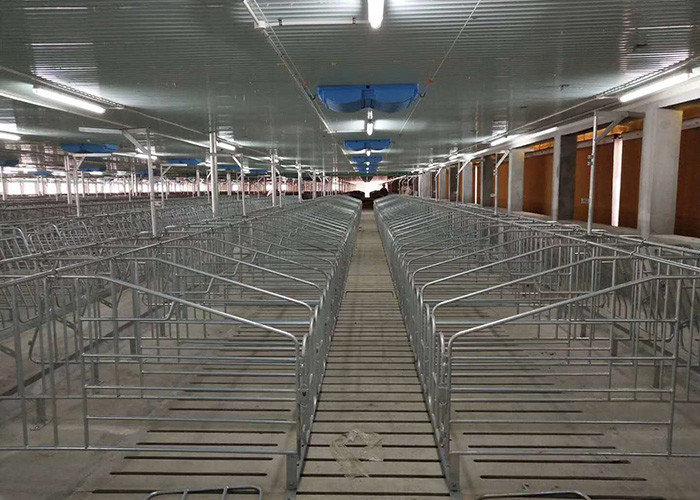 Ручки беременности сельскохозяйственного оборудования Piggery ODM OEM для дизайна задней двери свией
