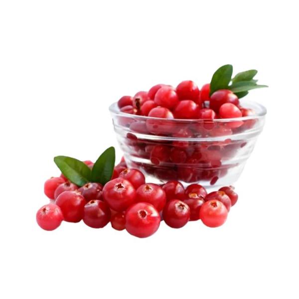 OEM/ODM Hot Selling Economical Bulk IQF Frozen Lingonberry High Demand IQF Frozen Fruit