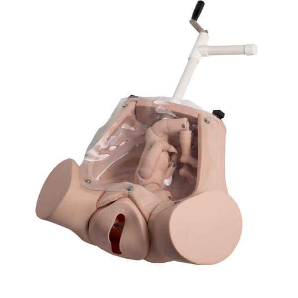 Medical Delivery Realistic Childbirth Simulator Childbirth Education Models