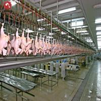 Matança automática da galinha do matadouro das aves domésticas Halal que processa escaldar arrancando a máquina