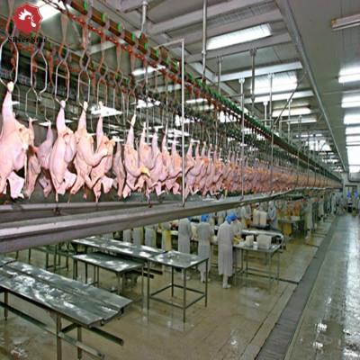 Halal Poultry Automatic Abattoir Chicken Slaughtering Processing Scalding Plucking Machine