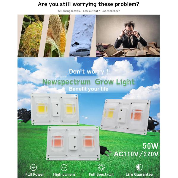 Energy Saving Full Spectrum Led Grow Lights Board 50W Voltage 110V