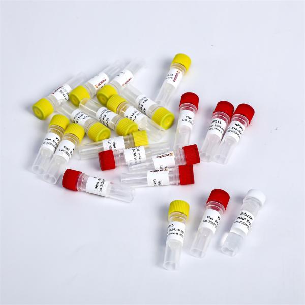 Multiplex Oligos 2 NGS Library Construction For Illumina K002-B/192 Rxns