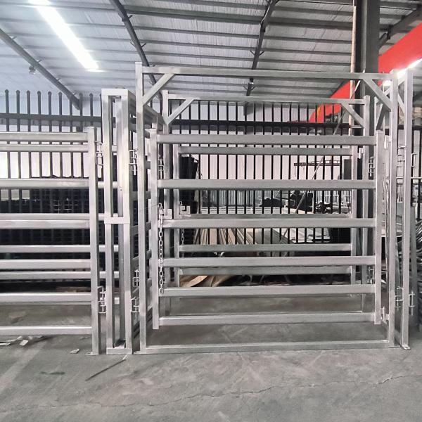40*80mm*1.6mm Cattle Crushes Panel Cattle Headlock Panels Versatile