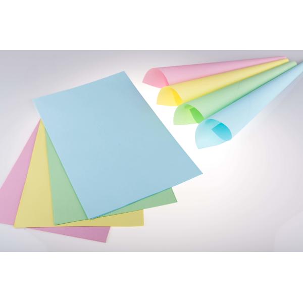 бумага NCR 55gsm 305mm