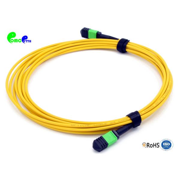 SM 24F 10M MPO Female - MPO Female MPO Trunk Cable For 40G / 100G Data Center Solution