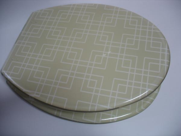 resin toilet seat,17'18'19'Uropean standard,USA stardard,Mosaic picture