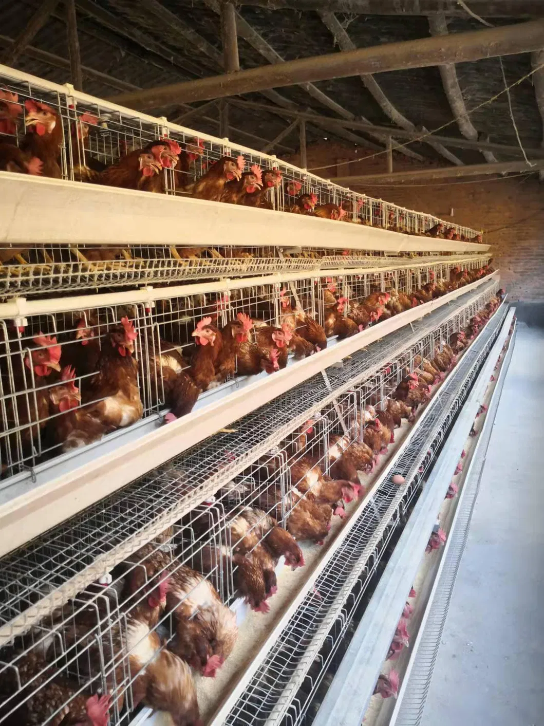 Galvanized Steel Multi Level A Frame Layer Cage System for Efficient Poultry Farming