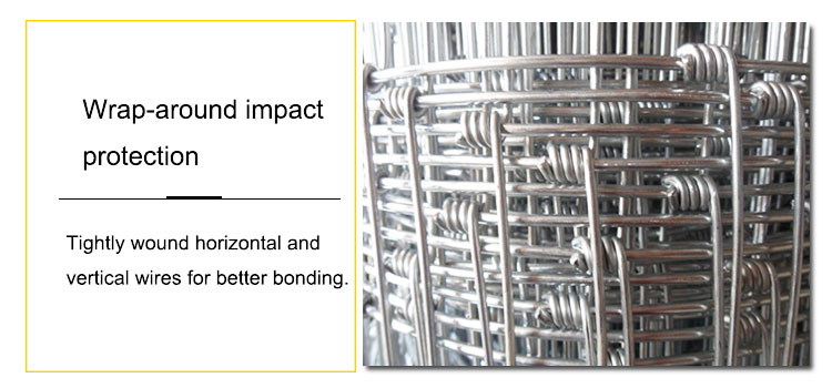 Easily Assembled Eco Friendly High Tensile Strength Farm Wire Mesh Fence and Hinge Joint Fence