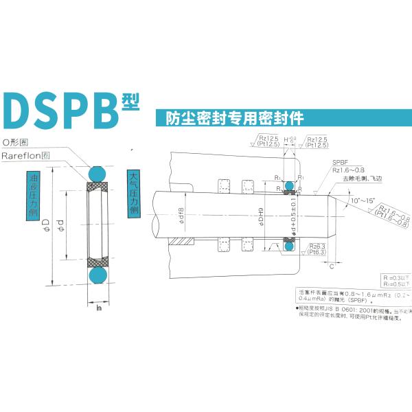 Joint de la poussière de DSPB