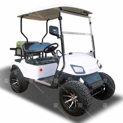 Carrinho de golfe para duas pessoas com luzes de LED Traseiro Freios a tambor Cor personalizável