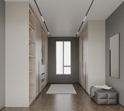 Hotel Walk In Cupboard Custom Closets Particle Board Carcass High Gloss