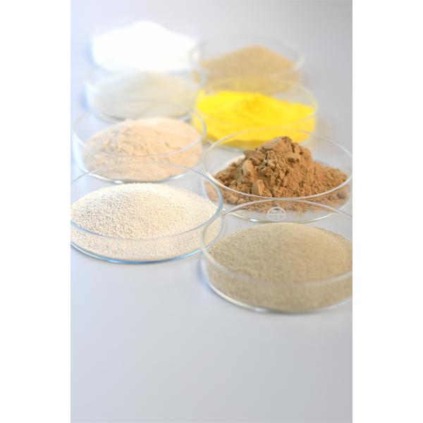 Commercial Pectinase Enzyme Powder / Liquid Used In Plant Extraction