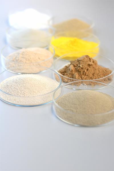Improve Food Processing Efficiency with Food-Approved Biochemical Catalysts Powder CAS Number 9025-35-8