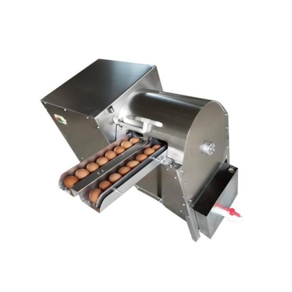 High Quality Custom Shape Animal Shaped Hand-Held Egg Waffle Maker