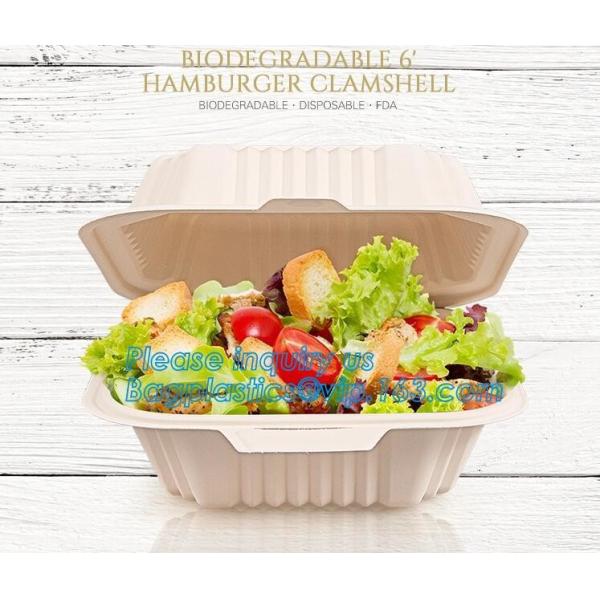 Tableware Bagasse Plate Bagasse Containers Bagasse Clamshell Bagasse Tray Bagasse Cup Bagasse Lids Bagasse Cutle