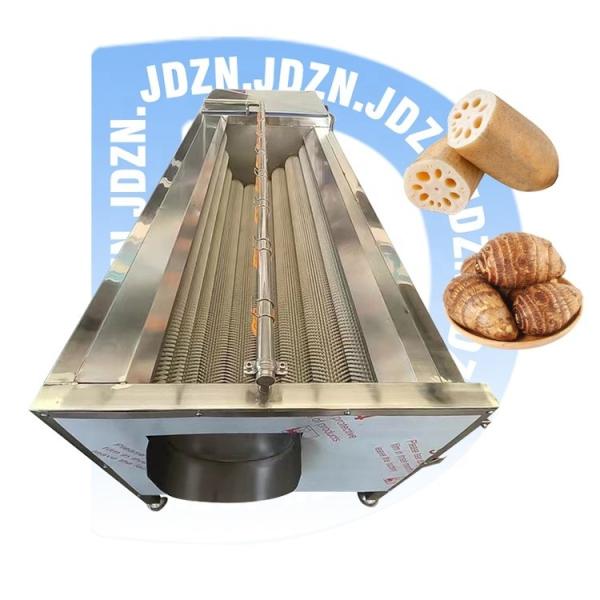 Commercial electric potato peeler machine With Low Price fruit vegetable potato washing cleaning line machine