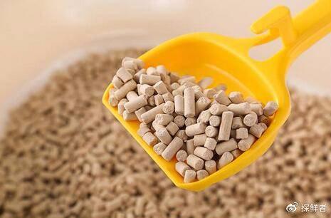 Long Lasting Pet Cat Litter With Enhanced Odor Control 25kg Packing