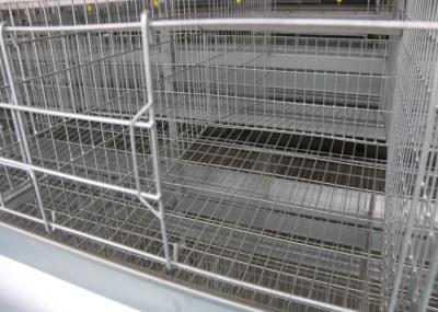 Poultry Farm Layer Chicken Cage Modern  Multi - Tiers Chicken Wire Cage