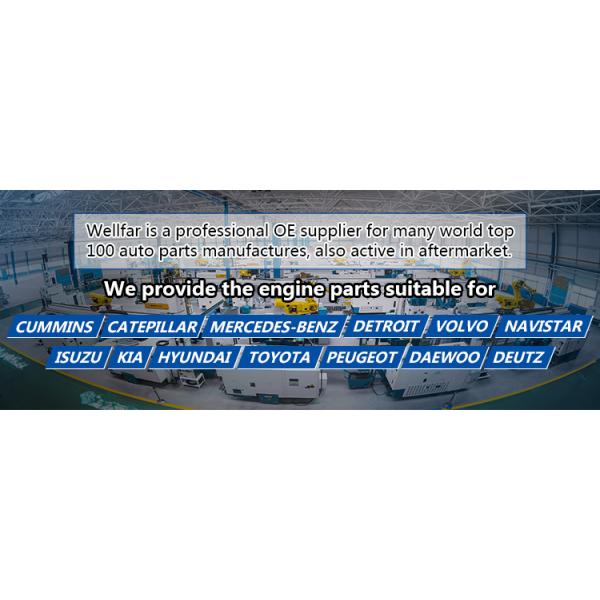 Steel 118mm Truck Engine Pistons For MITSUBISHI 6D16 Engine Parts ME072062