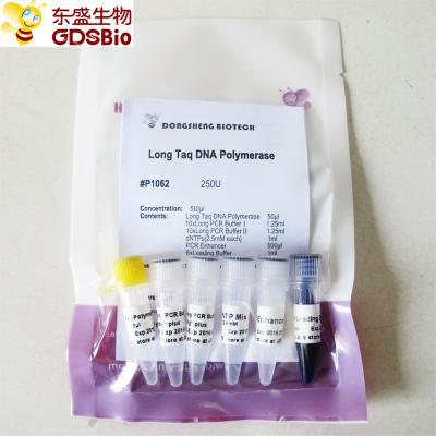 Polimerase de ADN longa #P1062 de Taq 250U