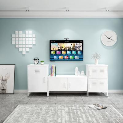 Modern Bedroom Furniture Metal Tv Stand Living Room Cabinet Knocked Down