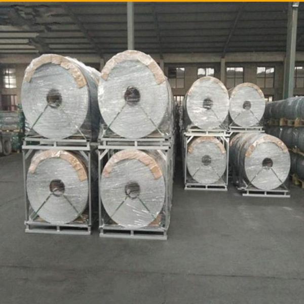 PVC Coated Hexagonal Wire Fence Chicken Net for for Chicken Coop