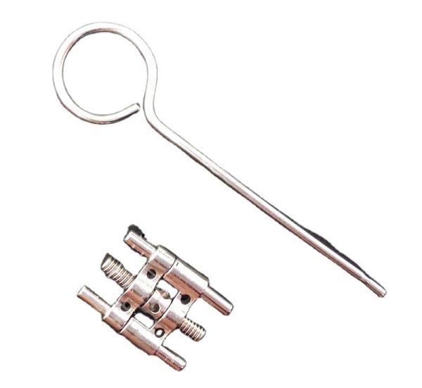 Instruments dentaires en acier inoxydable de type normal et de type pied-de-biche Orthodontique Mini Expandant vis de rétraction vis Hyrax