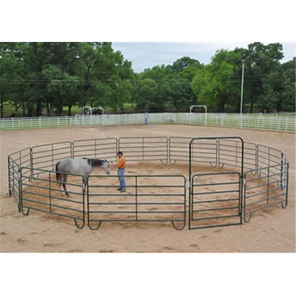 Сверхмощное поголовье в 16 ног ограждает размер трубы × 40мм панелей 40мм квадратный