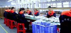 Shenzhen Siesi Electric Co., Ltd