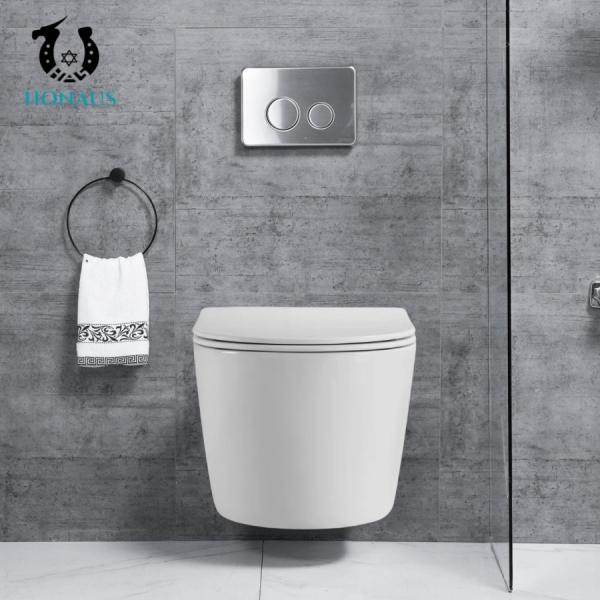 Customized Rimless Bathroom Toilet Bowl Washdown Wall Mounted Commode