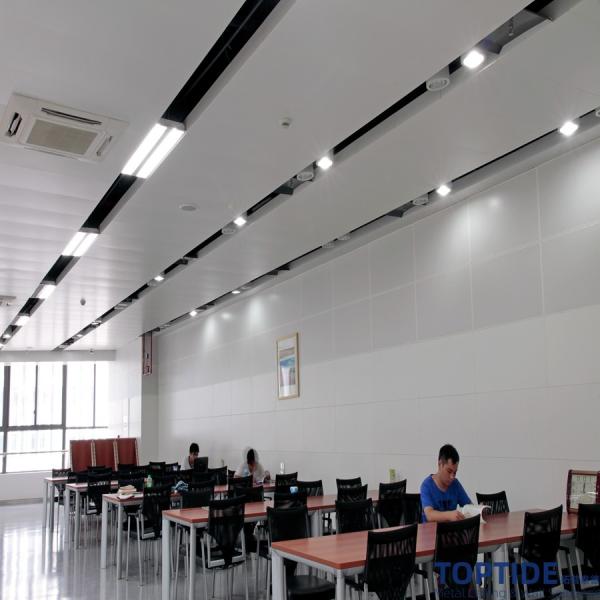 CTC Suspended 2.5mm Fire Rated False Ceiling Weather Resistance