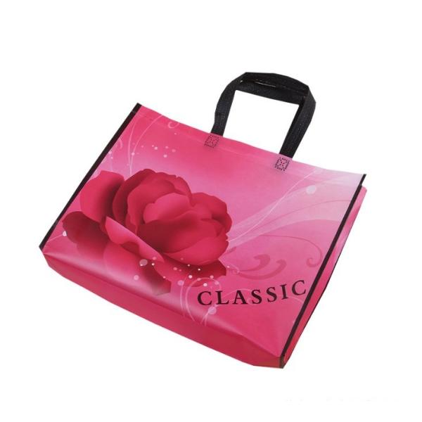 Industrial Shopping Non-woven Shopping Bags with Folding Style and Non-woven Material