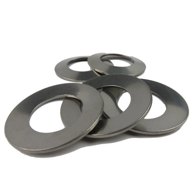 Stainless DIN 2093 Disc Springs for Chemical | SUNZO Factory