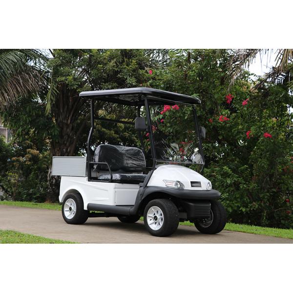 2 Seats Electric Golf cart With Aluminum Cargo Box 560KG Weight Capacity