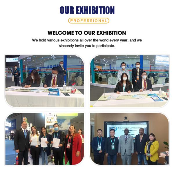 Aluminum Alloy Thermal Broken Screen Frame Hung Window with Corrosion Resistance