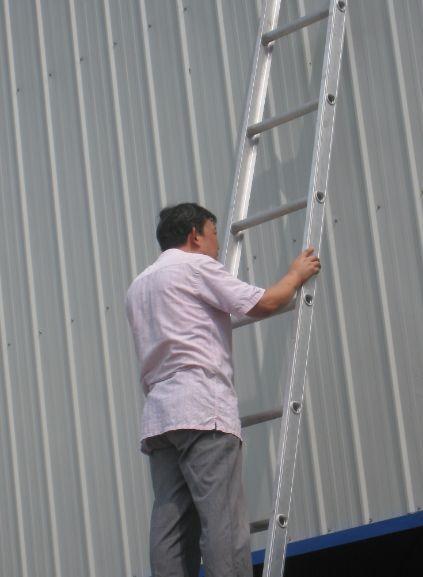 14 Steps Aluminum Straight Scaffolding Ladder For System Scaffoldings
