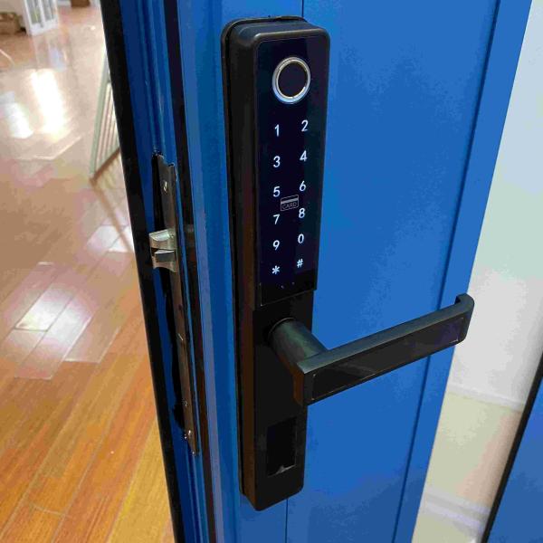 Modern Aluminum Entrance Door Electronic Combination Lock Aluminum Pivot Hinge