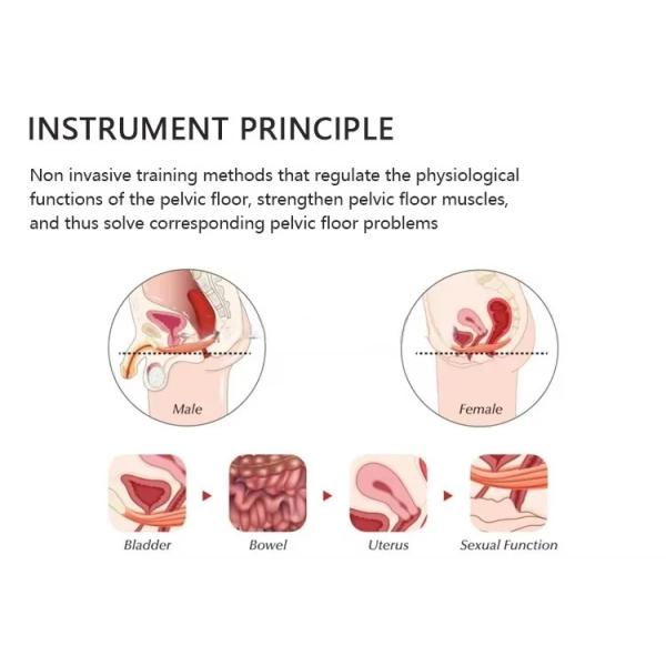 Ems silla pélvica cojín ergonómico piso pélvico máquina de reparación muscular entrenador muscular instrumento de suelo pélvico