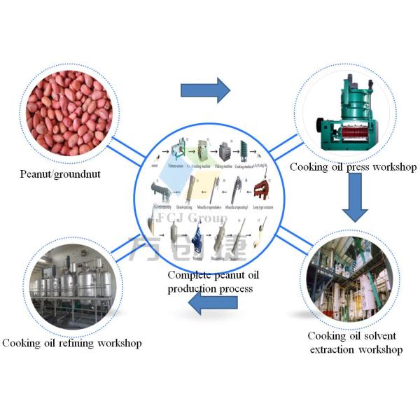 High-Efficiency Oil Press Machine for Commercial Use