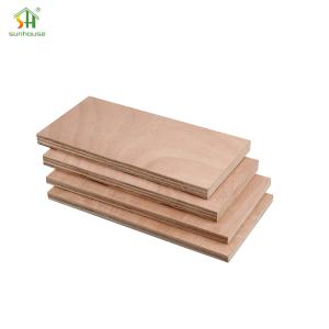 1200x2400mm Eco Friendly Plywood Eucalyptus Core 4x8 Plywood Board For Office