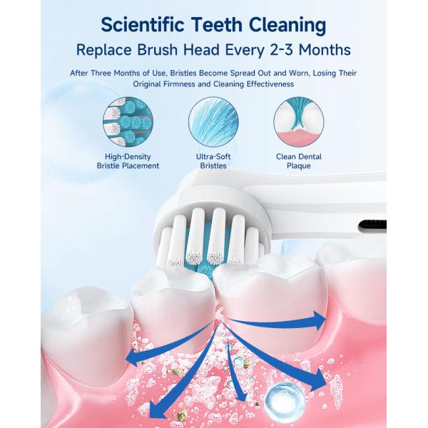 Soft Bristle Electric Toothbrush Spinning Head Ultrasonic Toothbrush Heads Eb17-Ts